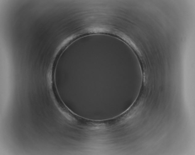 X0000111890438200907301201