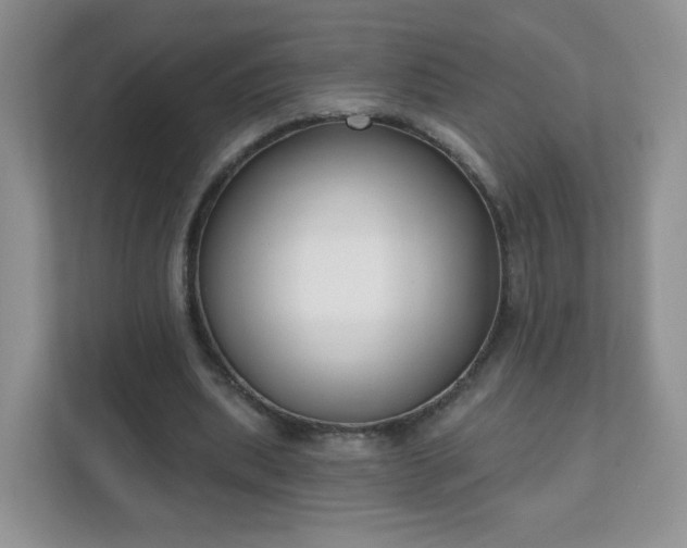 X0000111890439200907301201