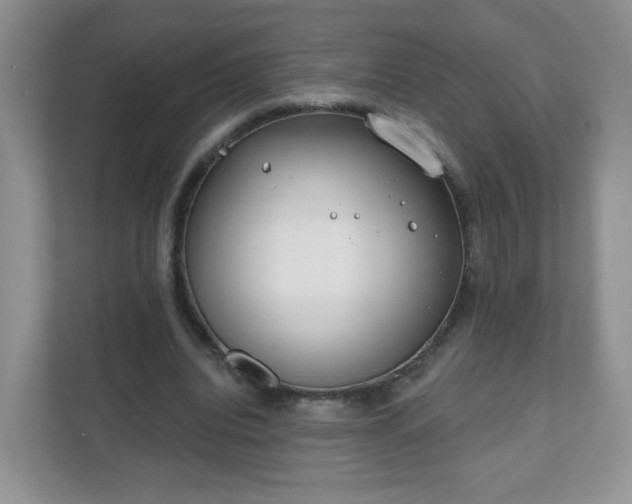 X0000111890440200907301201