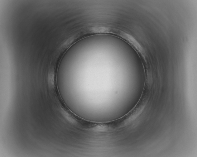 X0000111890441200907301201