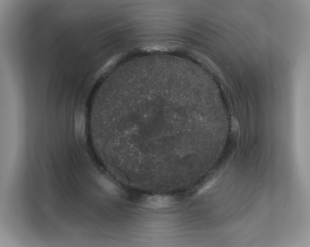 X0000111890444200907301201