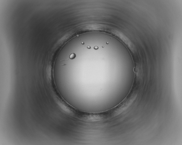 X0000111890445200907301201