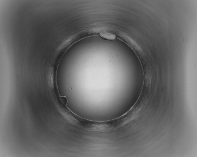 X0000111890446200907301201