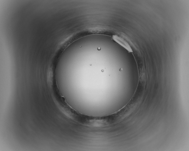 X0000111890448200907301201