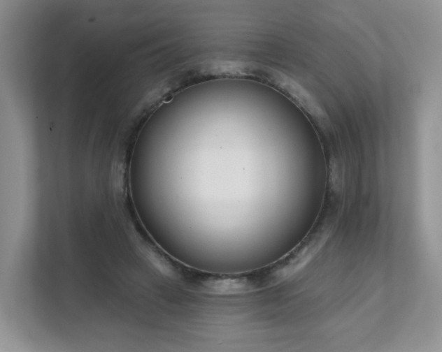 X0000111890449200907301201