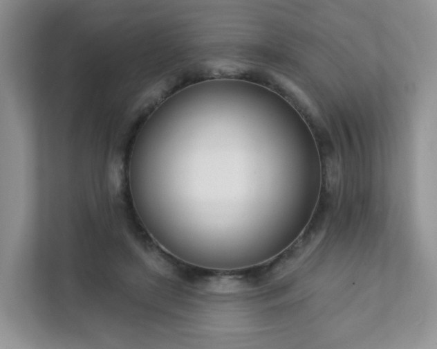 X0000111890451200907301201