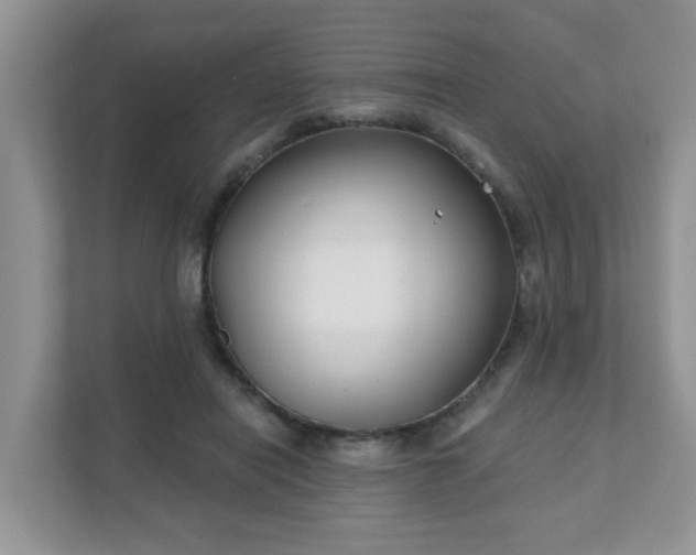 X0000111890454200907301201