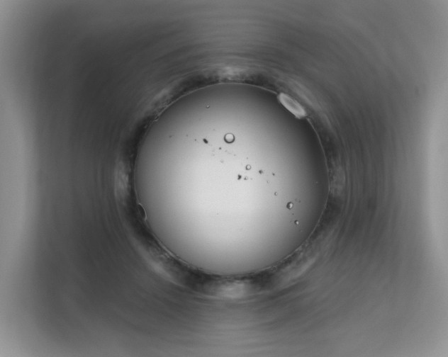 X0000111890456200907301201