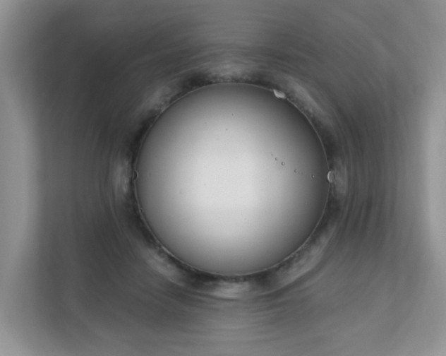 X0000111890458200907301201