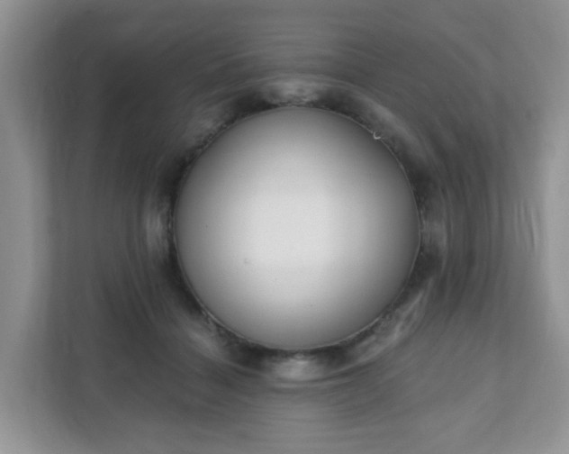 X0000111890460200907301201