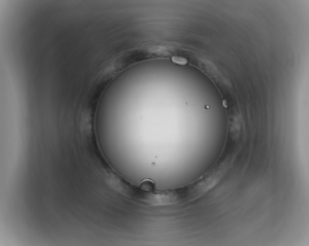 X0000111890466200907301201