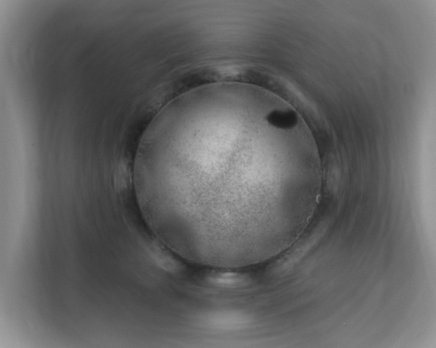 X0000111890467200907301201