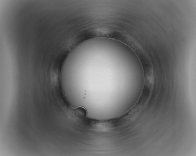 X0000111890468200907301201