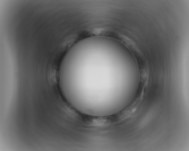 X0000111890470200907301201