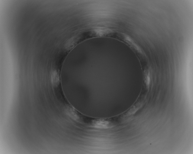 X0000111890471200907301201