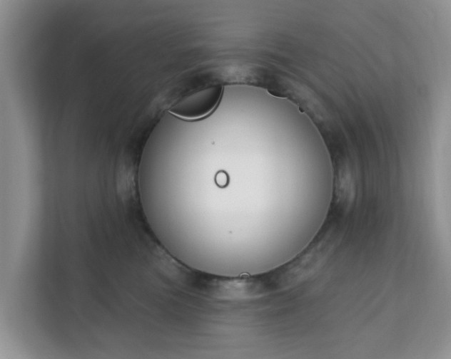 X0000111890473200907301201