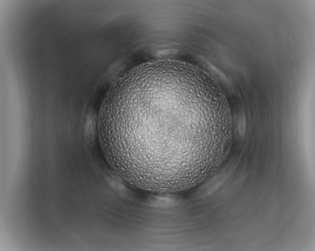 X0000111890475200907301201