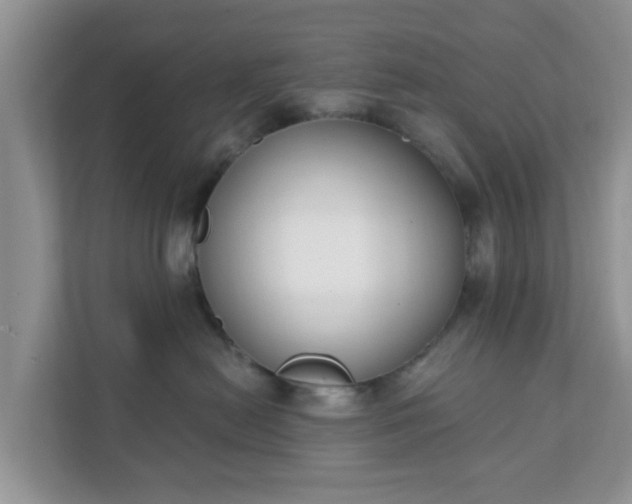 X0000111890478200907301201