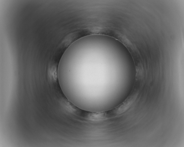 X0000111890479200907301201