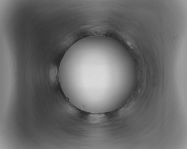 X0000111890480200907301201