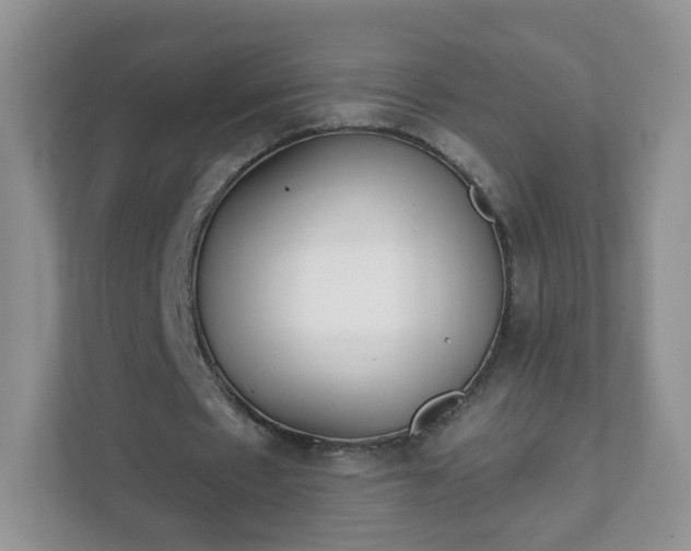 X0000111890481200907301201