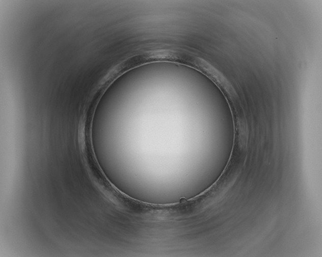 X0000111890482200907301200