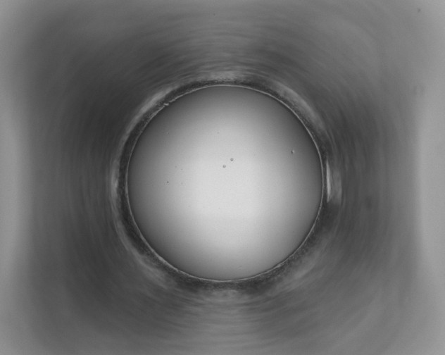 X0000111890483200907301200