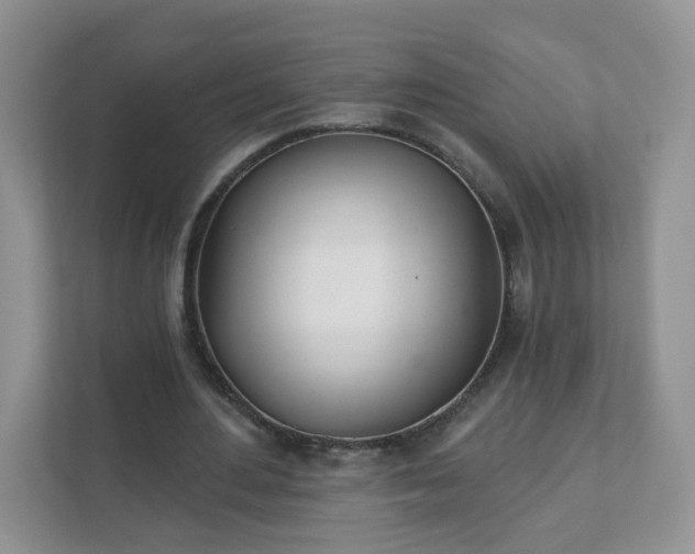 X0000111890484200907301200