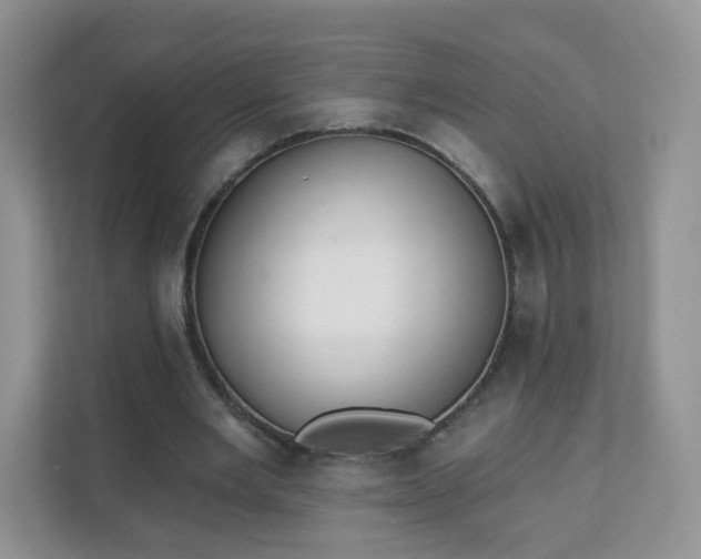 X0000111890485200907301200