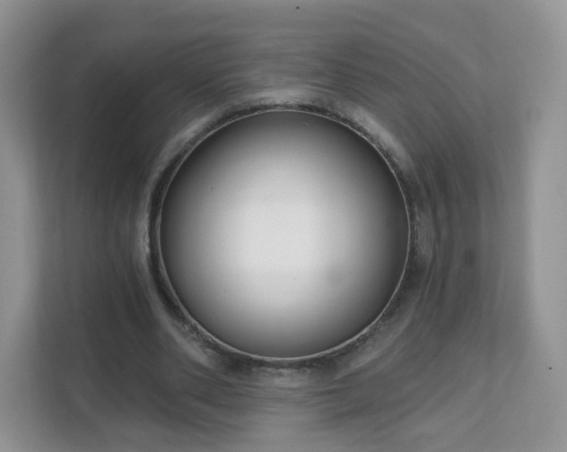 X0000111890486200907301200