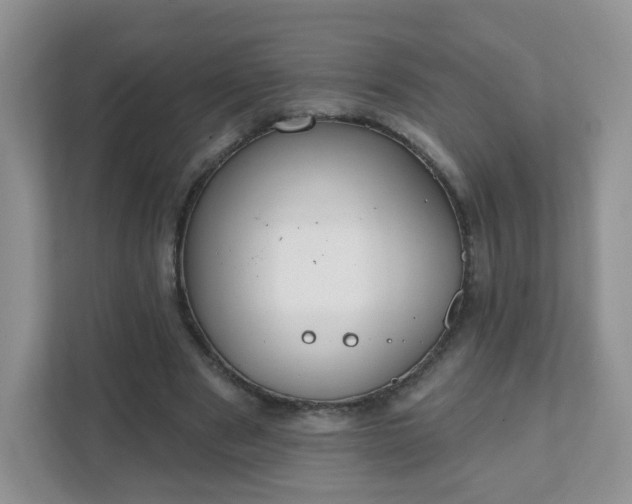 X0000111890489200907301200