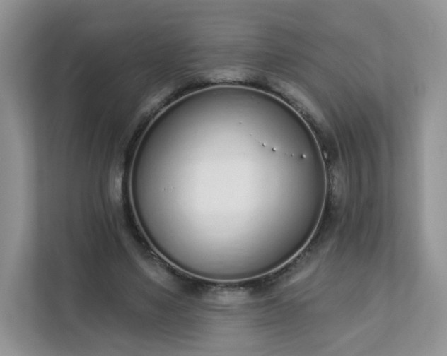 X0000111890491200907301200