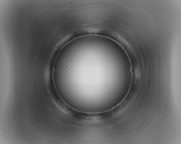 X0000111890492200907301200