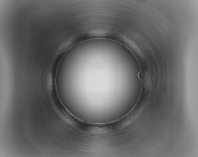 X0000111890494200907301200