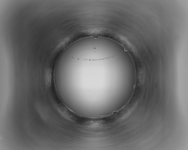 X0000111890495200907301200