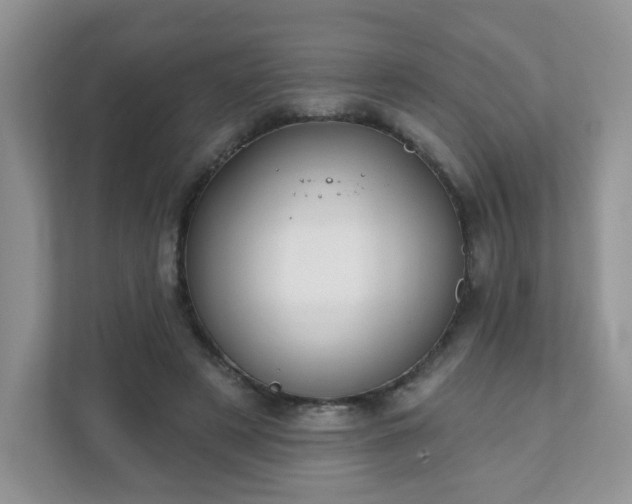 X0000111890497200907301200