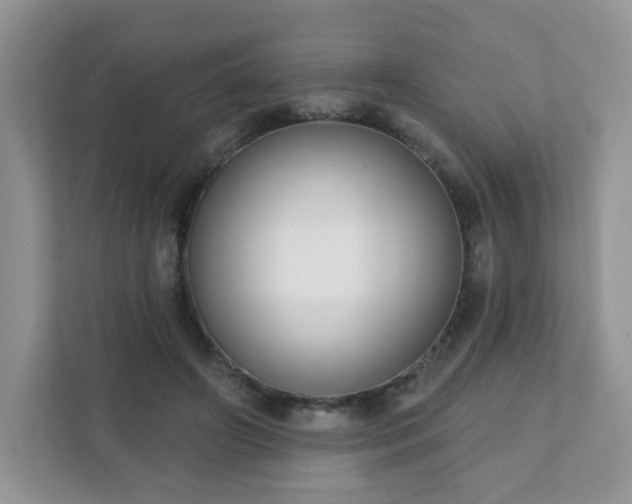 X0000111890498200907301200