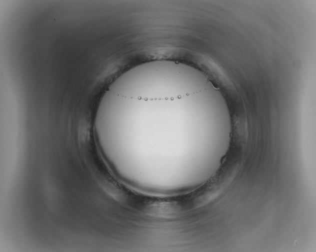 X0000111890499200907301200