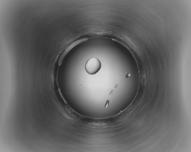 X0000111890500200907301200