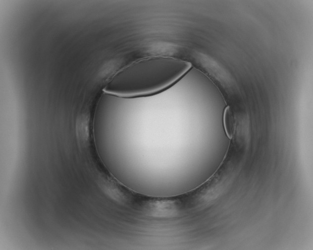 X0000111890501200907301200