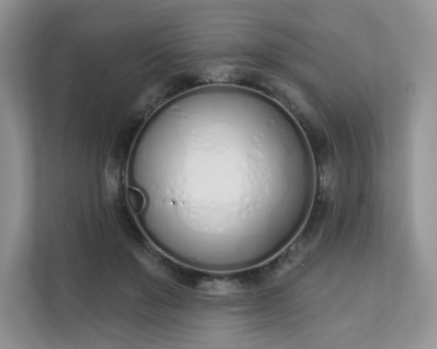 X0000111890503200907301200