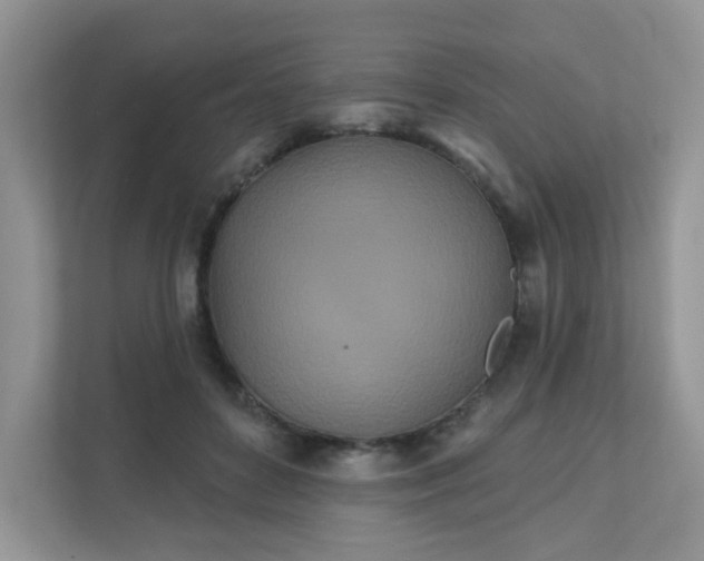 X0000111890504200907301200