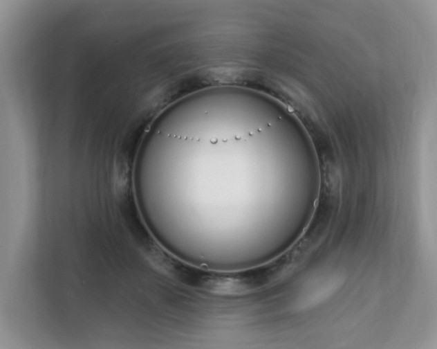 X0000111890507200907301200