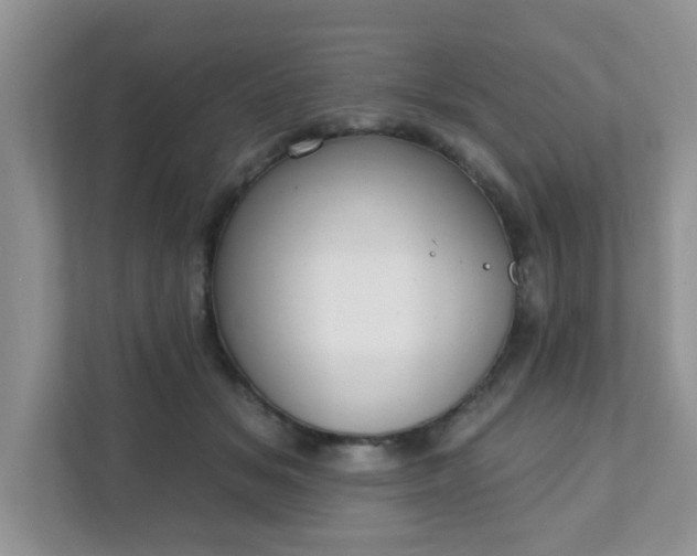 X0000111890509200907301200