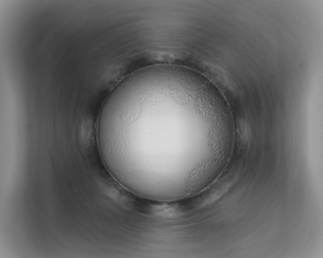 X0000111890511200907301200