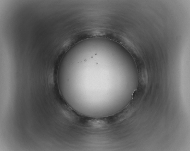 X0000111890512200907301200