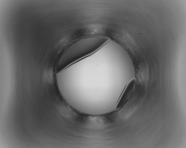 X0000111890520200907301200