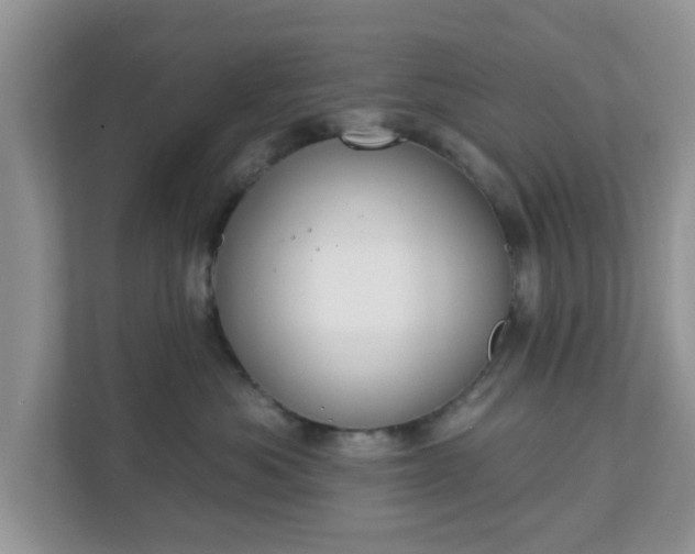 X0000111890525200907301200