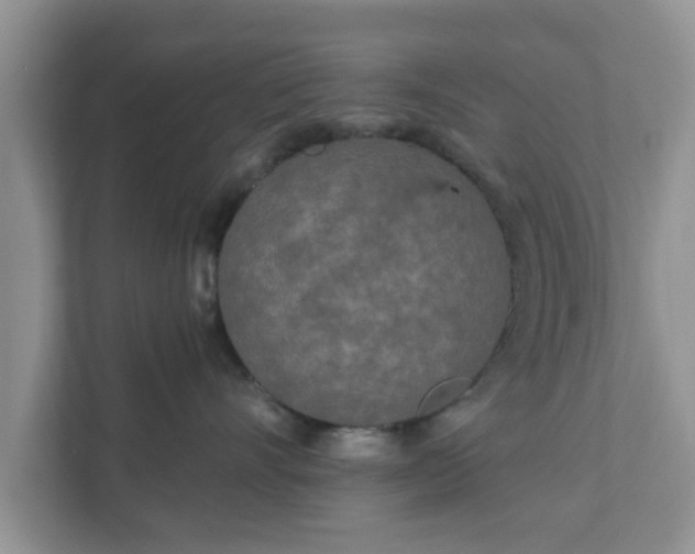 X0000111890528200907301200