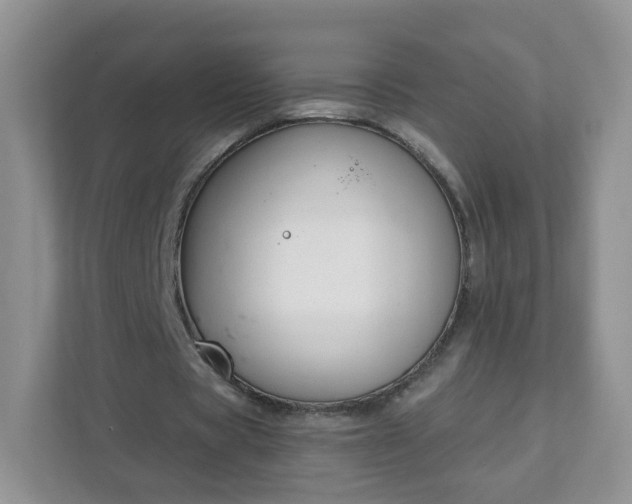 X0000111890529200907301159